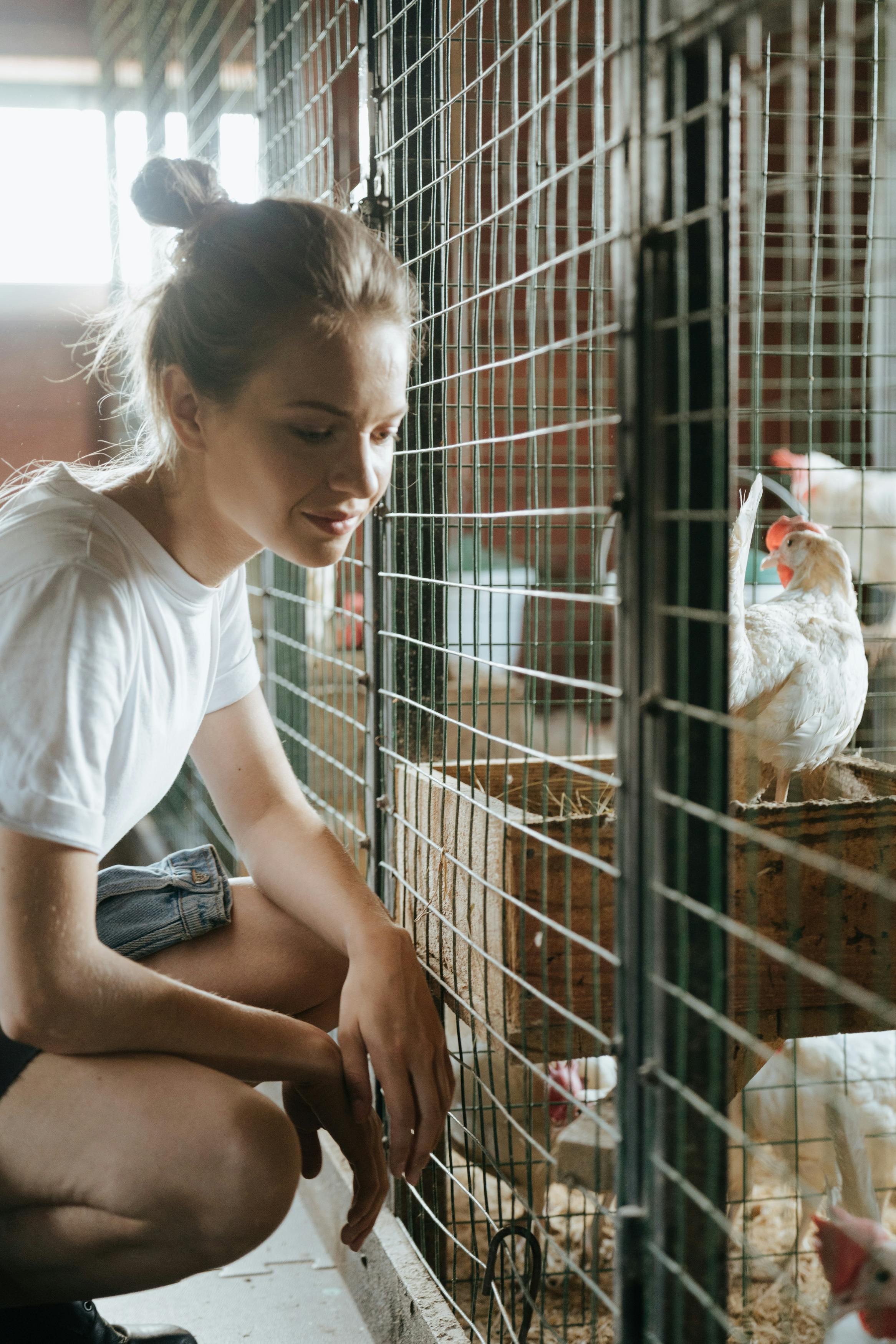 How Pet Panels Improve Your Pet’s Quality of Life