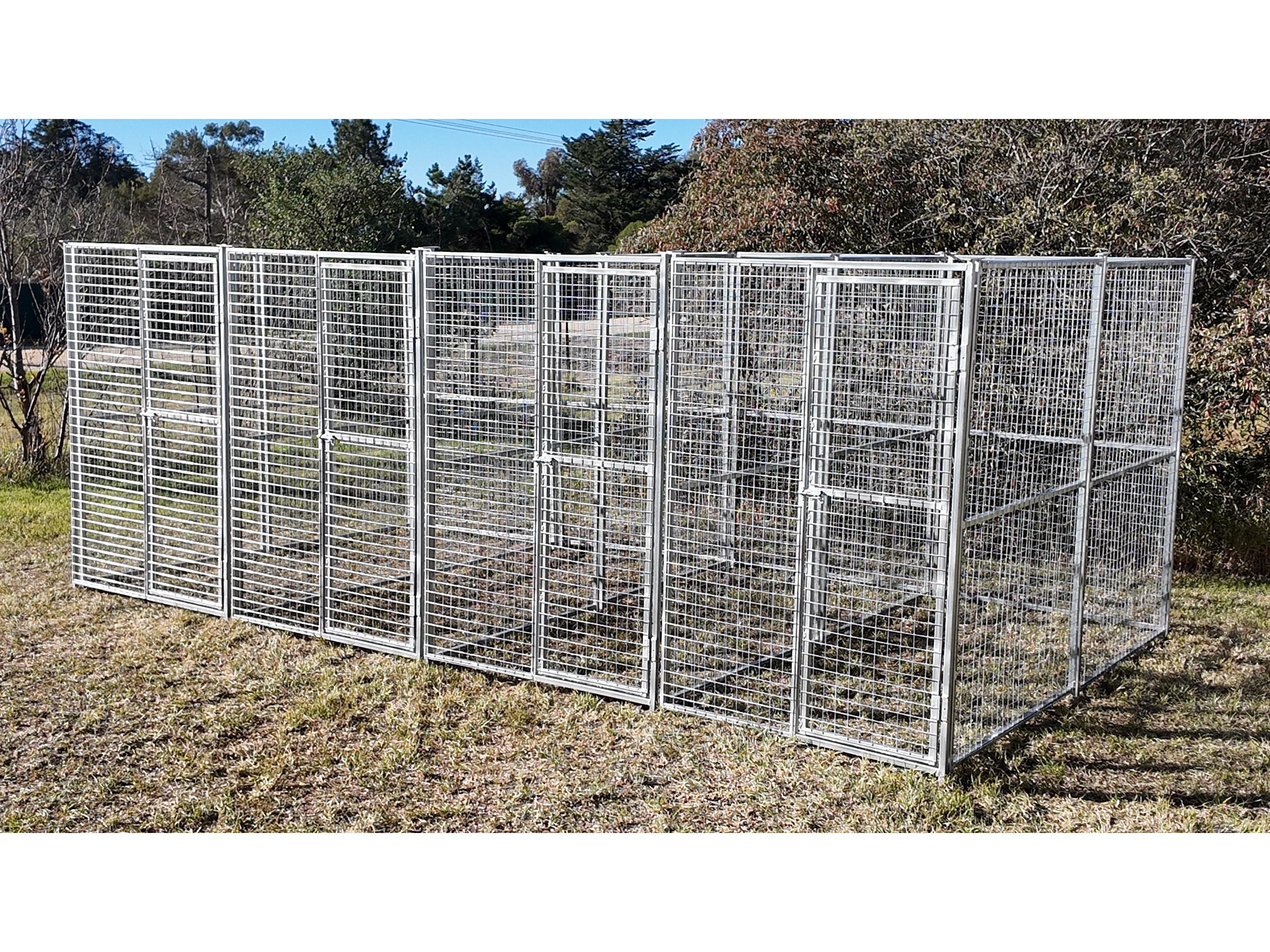 5m x 2.5m x 1.85m dog/poultry set up with 4 runs, 50mm x50mm x 4mm mesh