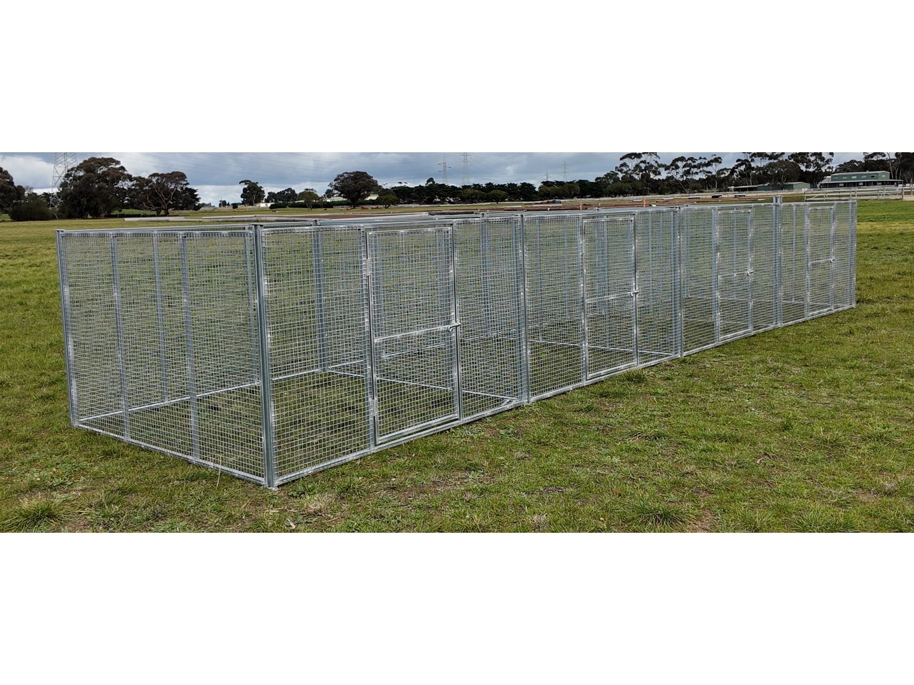 4 Bay 8m x 2m x 1.2m puppy run, 25mm x 25mm mesh panels