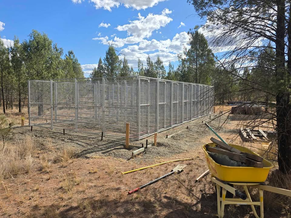 8 Bay 10m x 5m x 1.85m dog/chicken run, 50mmx50mmx4mm mesh