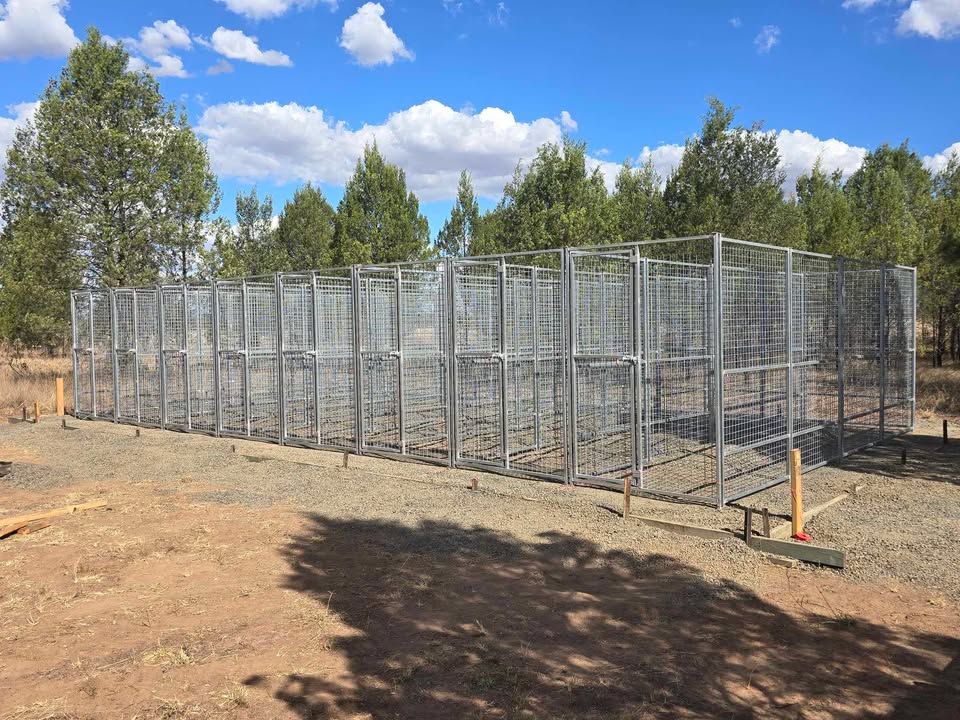 8 Bay 10m x 5m x 1.85m dog/chicken run, 50mmx50mmx4mm mesh